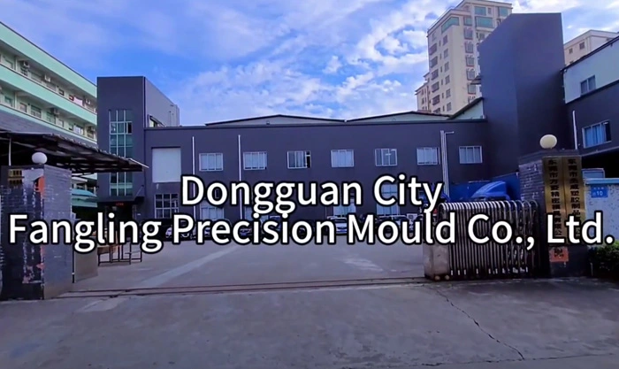 Dongguan City Fangling Precision Mould Co., Ltd.