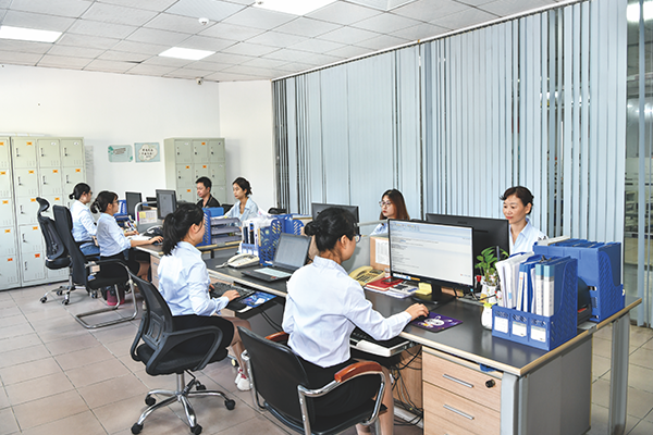 Dongguan City Fangling Precision Mould Co., Ltd. companyshow