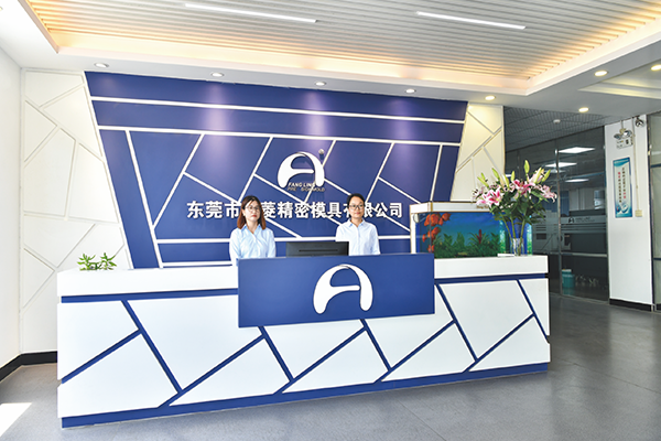 Dongguan City Fangling Precision Mould Co., Ltd. company